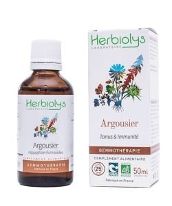 Argousier (hippophae rhamnoides) - bourgeons frais BIO, 50 ml